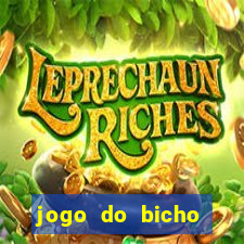 jogo do bicho preferida matinal